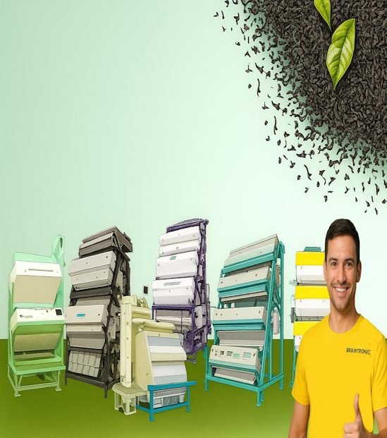 Tea Color Sorter Service